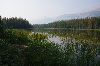 IMGP5418.JPG IMGP5418.JPG