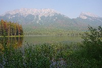 IMGP5419.JPG IMGP5419.JPG