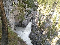 IMG_20180807_160450.jpg IMG_20180807_160450.jpg