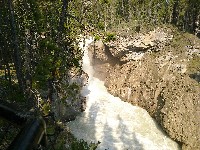 IMG_20180807_162552.jpg IMG_20180807_162552.jpg