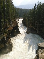 IMG_20180807_162719.jpg IMG_20180807_162719.jpg