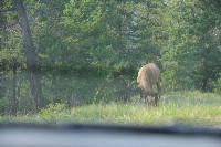 IMGP5420.JPG IMGP5420.JPG