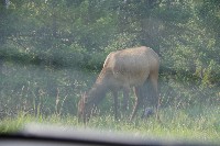 IMGP5421.JPG IMGP5421.JPG