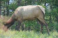 IMGP5422.JPG IMGP5422.JPG