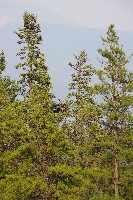 IMGP5424.JPG IMGP5424.JPG