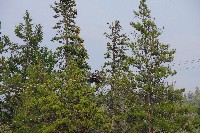 IMGP5425.JPG IMGP5425.JPG