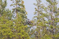 IMGP5427.JPG IMGP5427.JPG