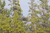 IMGP5428.JPG IMGP5428.JPG