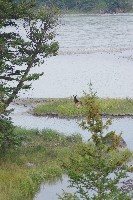 IMGP5430.JPG IMGP5430.JPG