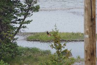 IMGP5431.JPG IMGP5431.JPG