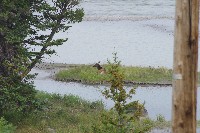 IMGP5432.JPG IMGP5432.JPG