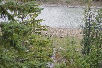 IMGP5433.JPG IMGP5433.JPG