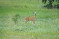 IMGP5434.JPG IMGP5434.JPG