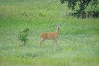 IMGP5435.JPG IMGP5435.JPG