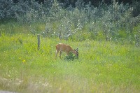 IMGP5436.JPG IMGP5436.JPG