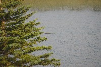 IMGP5437.JPG IMGP5437.JPG