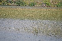 IMGP5440.JPG IMGP5440.JPG