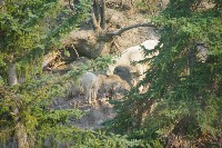 IMGP5443.JPG IMGP5443.JPG