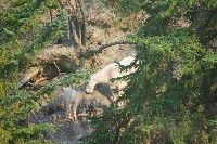 IMGP5444.JPG IMGP5444.JPG