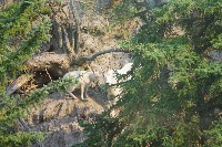 IMGP5445.JPG IMGP5445.JPG