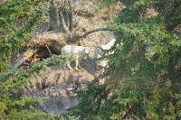 IMGP5446.JPG IMGP5446.JPG