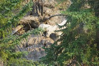 IMGP5447.JPG IMGP5447.JPG