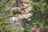 IMGP5448.JPG IMGP5448.JPG