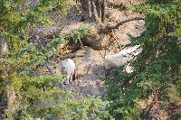 IMGP5449.JPG IMGP5449.JPG