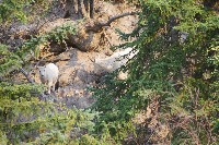 IMGP5450.JPG IMGP5450.JPG