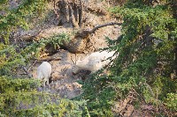 IMGP5451.JPG IMGP5451.JPG