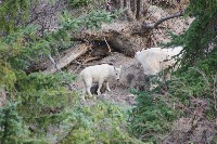 IMGP5452.JPG IMGP5452.JPG