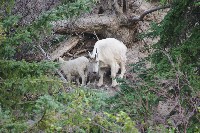 IMGP5453.JPG IMGP5453.JPG