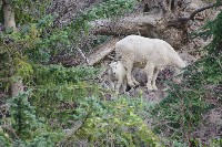 IMGP5454.JPG IMGP5454.JPG