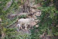 IMGP5456.JPG IMGP5456.JPG