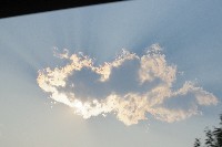 IMGP5457.JPG IMGP5457.JPG