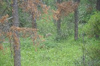 IMGP5458.JPG IMGP5458.JPG