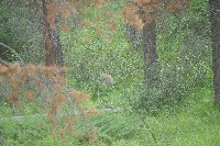 IMGP5459.JPG IMGP5459.JPG