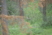 IMGP5460.JPG IMGP5460.JPG