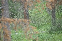 IMGP5461.JPG IMGP5461.JPG