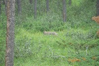 IMGP5464.JPG IMGP5464.JPG