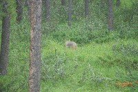 IMGP5465.JPG IMGP5465.JPG