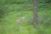 IMGP5467.JPG IMGP5467.JPG