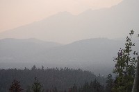 IMGP5470.JPG IMGP5470.JPG