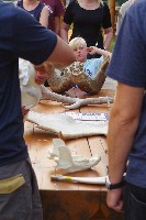 IMGP5472.JPG IMGP5472.JPG