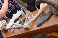 IMGP5473.JPG IMGP5473.JPG