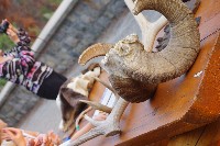 IMGP5475.JPG IMGP5475.JPG