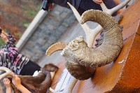 IMGP5476.JPG IMGP5476.JPG