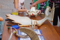 IMGP5477.JPG IMGP5477.JPG