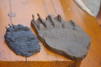 IMGP5478.JPG IMGP5478.JPG