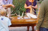 IMGP5479.JPG IMGP5479.JPG